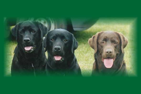 Spinner, Winter & Kayla